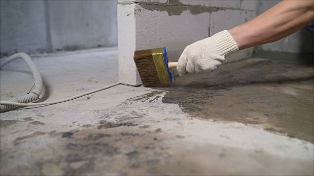 SJ Waterproofing Pros Waterproofing coverage map for Barryton, MI and surrounding area